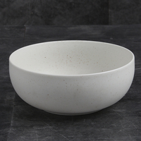 Service de table en céramique blanche en porcelaine 4 pièces avec glaçure à pois noirs Comprend une casserole, une tasse, un bol à dessert et un plat principal
