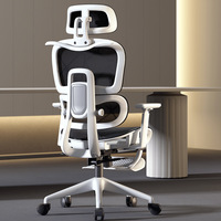 Chaise de bureau ergonomique Appui-tête réglable Repose-pieds Ascenseur contemporain Siège en maille confortable Roulettes en PP pour bureau confortable