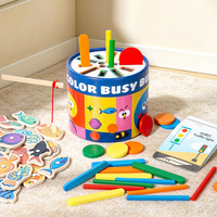 Montessori UBM DL-537 Houten Educatief Magnetisch Visspel Kleur Sorteerstokjes Schijven Emmerset voor Baby Peuter Kinderen Groothandel