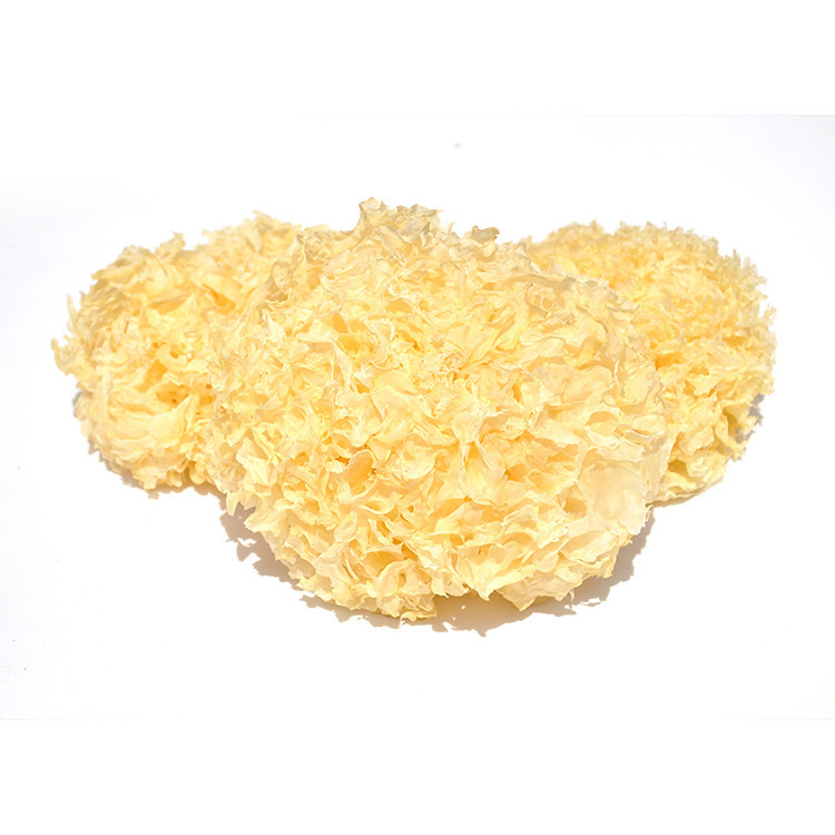 High Quality Organic White Snow Fungus Dry White Tremella Mushroom