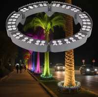 Palmier Anneau Lumière DMX512 LED Jardin Décoratif Extérieur Pelouse Lumières Étanche Câlin Arbre Paysage Lampe
