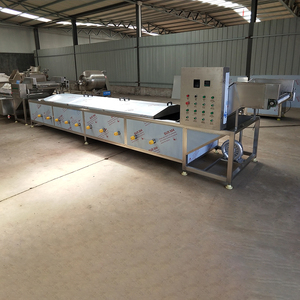 Gıda İşleme Haşlama Hattı |   Otomatik Sebze ve Meyve Renk Sabitleme ve Ön Pişirme Ekipmanı - Product Image 2