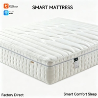 Matelas intelligent adaptatif AISLUMBERX AI avec suivi du sommeil en temps réel, massage par airbag, fermeté réglable, moderne, OEM, pour chambre à coucher et hôpital
