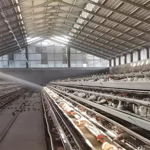 Baru 1000 burung ayam lapisan kandang ayam baterai baja kandang hewan untuk perternakan unggas 96/128 kondisi burung baru - Product Image 6