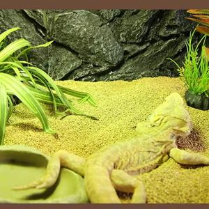 Boîte d'élevage de lézards, création de paysage, désodorisation, séchage, polissage, sable d'escalade, sable de noix de coco pour animaux de compagnie, matériau de coussin - Product Image 4