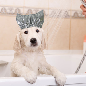 Gorro de baño ajustable e impermeable para perros y gatos con protección para las orejas para el baño de mascotas - Product Image 2