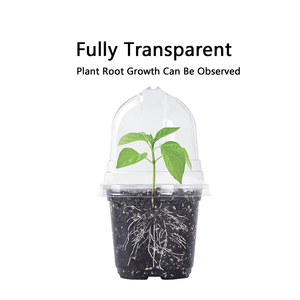 10 pièces/sac Pots de jardinage en PET <span class=keywords><strong>pour</strong></span> semis et <span class=keywords><strong>repiquage</strong></span>, avec dômes d'humidification, 3.5, 4, 5 pouces - Product Image 5