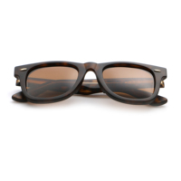 Lunettes de soleil de luxe confortables pour femmes et hommes, avec logo personnalisé, protection UV400, en PC, collection 2026