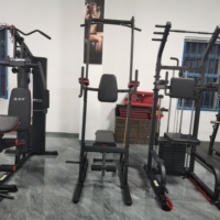 Station multifonction murale en gros d'usine Gym à domicile Musculation Équipement de fitness Barre de traction parallèle