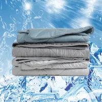 आर्क-सर्द ठंडा गर्मियों डबल पक्षीय 100% कपास सांस आरामदायक दिलासा बर्फ रेशम ठंडा कंबल बच्चों के लिए