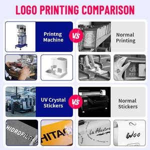 자동 고양이 먹이 물 디스펜서 세트 새로운 디자인 중력 애완 동물 셀프 피더 실내 소형 중형 고양이 개 친환경 PP - Product Image 5
