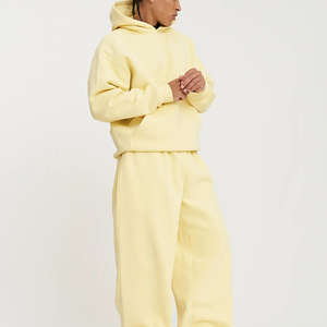 High Quality Solid Cotton <strong>Hoodies</strong> Heavyweight Fleece <strong>Hoodies</strong> Custom Blank Oversized Plus Size Men's <strong>Hoodies</strong> - Product Image 4