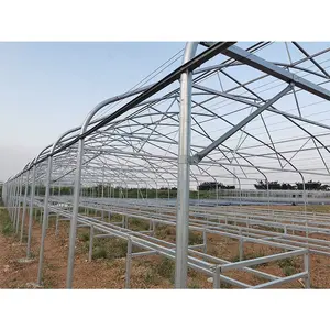 IGreen Strong Agricultural Greenhouse Frame /Polytunnel Gardengreen Frame Walk In Greenhouse