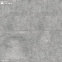 Carreaux de sol en céramique gris clair antidérapants à finition mate bon marché Ghana 45x45 30x60 60x60 pour sol et mur de salle de bain