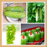 Poudre de melon amer de qualité alimentaire