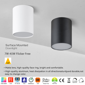 Lámpara Colgante LED COB de Superficie con Difusor de <span class=keywords><strong>PC</strong></span>, <span class=keywords><strong>Carcasa</strong></span> de Aluminio, Clasificación IP44, Diseño Moderno Retro - Product Image 2