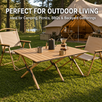 Table de camping pliante avec sac, table de pique-nique portable en aluminium, table de plage à faible hauteur, idéale pour l'extérieur