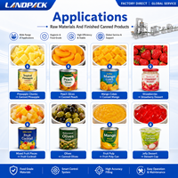 Turnkey automatische systeemlijn voor het inblikken, vullen en afwerken van aardbeien, mango's, perziken, ananas en augurken in siroop.