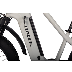 Promoción bicicleta de caza 24 pulgadas neumático gordo eléctrico suciedad bicicleta de montaña bicicleta eléctrica doble motor eléctrico fatbike - Product Image 6