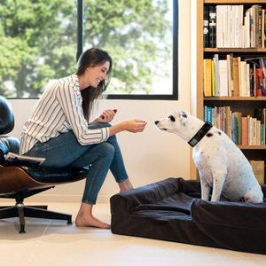 Luxus beruhigender ortho pä discher Gedächtnis schaum Große Hunde betten Benutzer definiertes Haustier Hund Katzen bett Wasserdicht abnehmbare Abdeckung Anti-Rutsch-Boden OEM/ODM - Product Image 2