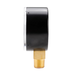 DEM 50mm Diámetro 0-15 <span class=keywords><strong>PSI</strong></span> 0-10 Bar 300bar Manómetro LPG Aire Acero inoxidable 1/4 NPT Manómetros - Product Image 6