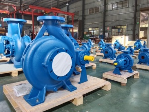 Bomba de Agua Centrífuga Horizontal de Gran Caudal y Alta Succión PASON, Venta Directa de Fábrica, 32-20~300-250, para Uso Agrícola - Product Image 3