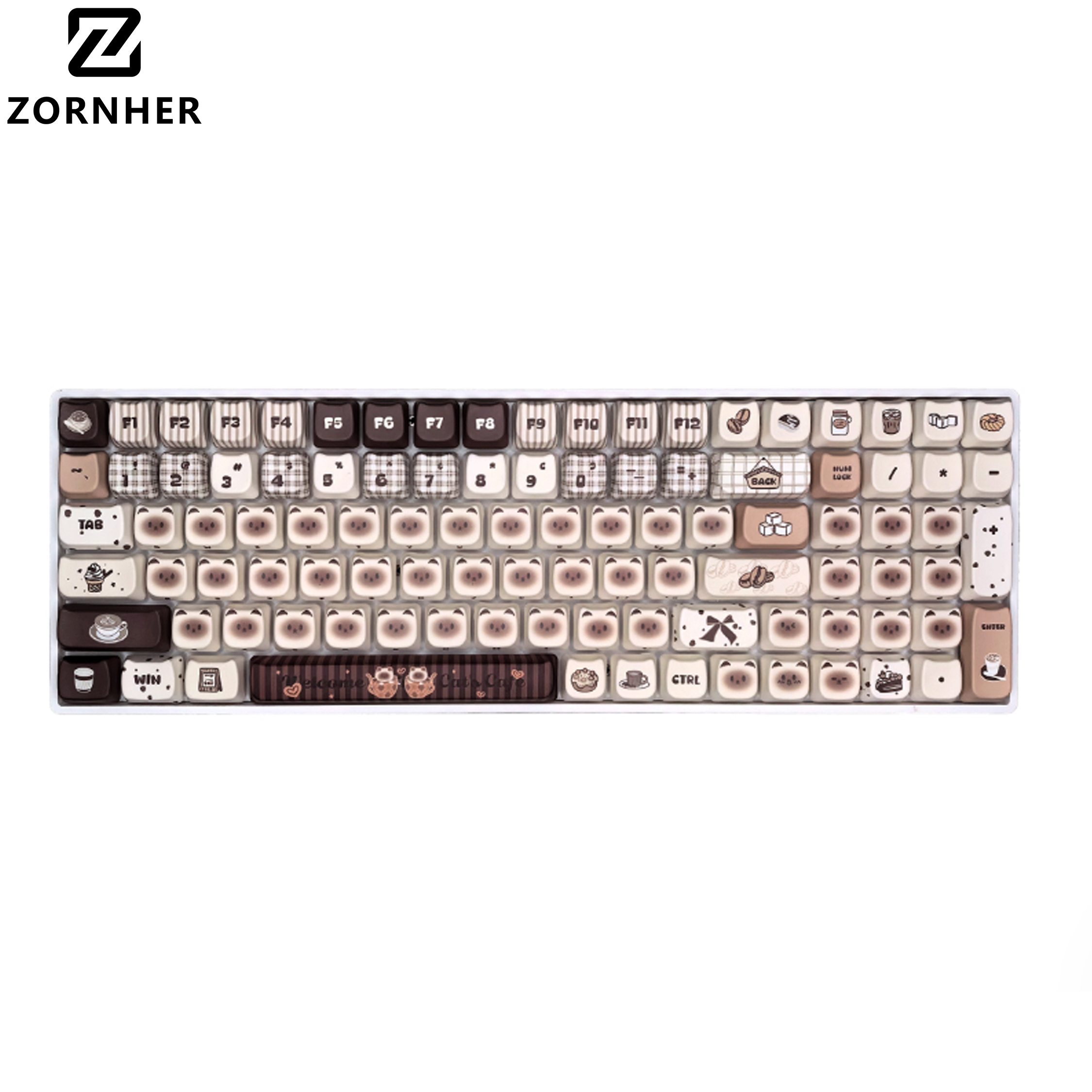 Chat logique ZH100