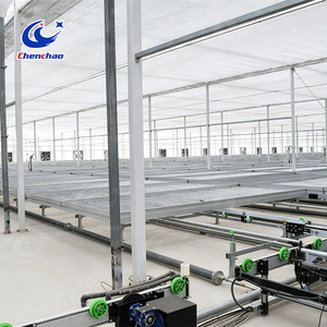 Système de bancs roulants <span class=keywords><strong>en</strong></span> maille pour la logistique des herbes culinaires, lit de culture mobile automatique pour le <span class=keywords><strong>basilic</strong></span>, la menthe et la culture intensiviste d'herbes aromatiques - Product Image 5