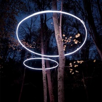 Lexiang Outdoor Hängende Baumring-Lichter IP65 LED-Faser-Acryl 111-240V Nicht-Intelligente Steuerung Park-Straßen-Dekorationsbeleuchtung