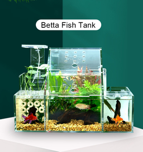 Élevage et incubateur à circulation automatique, Aquarium en acrylique pour poissons malades, Isolation de bureau, Aquarium pour poissons rouges avec pompes de 2.5W - Product Image 2