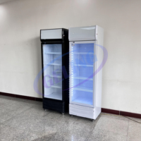 Vitrine Réfrigérée de Bar, Réfrigérateur Vertical à Porte Vitrée Commerciale, Vitrine Unique pour Boissons