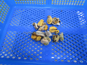 Approvisionnement en usine <span class=keywords><strong>prix</strong></span> à l'exportation mélange <span class=keywords><strong>de</strong></span> fruits <span class=keywords><strong>de</strong></span> <span class=keywords><strong>mer</strong></span> surgelés bon marché en vrac vente en gros <span class=keywords><strong>de</strong></span> sacs <span class=keywords><strong>de</strong></span> Chine aliments savoureux mélanges surgelés paquets <span class=keywords><strong>de</strong></span> fruits <span class=keywords><strong>de</strong></span> <span class=keywords><strong>mer</strong></span> - Product Image 6