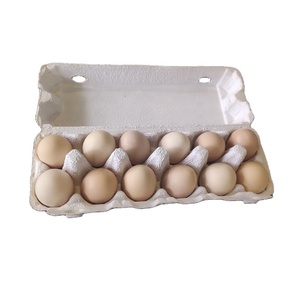 PTPACK Cartons <span class=keywords><strong>d</strong></span>'oeufs en pulpe naturelle 12 oeufs en carton de papier plat compostable vide carton <span class=keywords><strong>d</strong></span>'oeufs résistant aux chocs - Product Image 3
