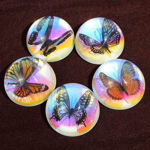 Presse-papiers en résine artisanale à bas prix avec véritable papillon, artisanat animalier pour décoration de bureau, art populaire, nouveauté, art exquis, <span class=keywords><strong>jouets</strong></span> éducatifs - Product Image 1