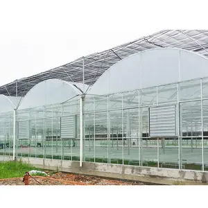 Serra della bacca del Polytunnel di vendita calda di basso costo della serra del Tunnel di poli di buona qualità