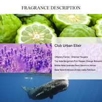 Huile de parfum UNIQUE AROMA Club Urban Elixir, huiles de parfum orientales fougères de marque, huiles de parfum concentrées en vrac d'Arabie