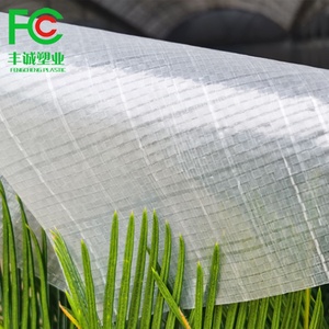 Film blanc transparent, feuille de couverture <span class=keywords><strong>pour</strong></span> <span class=keywords><strong>serre</strong></span>, en plastique hdpe renforcé, anti-uv, 1 pièce - Product Image 4