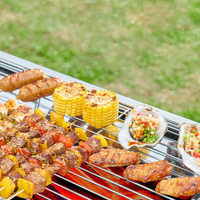 Ensemble de grillades à charbon de bois pliantes et portables en acier inoxydable pour le camping, barbecue et barbecue en plein air