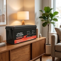 Batterie LiFePO4 rechargeable 12V 24V 48V 100Ah 200Ah 300Ah 400Ah 600Ah à succès pour système solaire domestique
