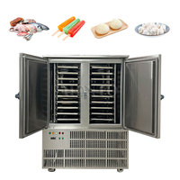Machine de congélation rapide grande capacité pour viande / poulet / fruits