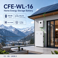 Batterie de stockage d'énergie résidentielle CFE WL-16 Split 16 kWh 51,2 V 314 Ah LiFePO4 avec communication CAN, jusqu'à 8 unités en parallèle