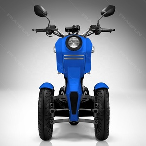 Veicolo a Tre Ruote ad Alta Velocità 70KM/H, Motore 3000W, Due Ruote Anteriori, Motocicletta con 2 Batterie Grandi - Product Image 5