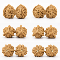 Vente en gros de noyaux de noix de Wenwan naturels pour l'exercice manuel, objets de collection, fournisseur OEM d'artisanat