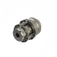 Accouplement rigide à engrenages en acier à dents courbées pour arbre de moteur, manchon en élastomère Rexnord pour tambour, OEM, alésage 50 mm, 5000 tr/min