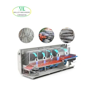 High Quality IQF Fast Freezing Machine Individual Fluidized Freezer Quick Freezer for Food Continuous Blast Instant Freezing