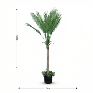 <b>Artificial</b> <b>Palm</b> <b>Tree</b> Decorative Indoor Outdoor Green Potted <b>Palm</b> Plant for Home Office Hotel Lobby Decoration - Product Image 5