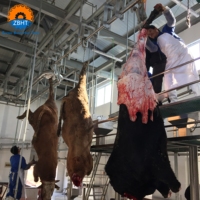 Équipement d'abattage de bovins automatique clé en main pour abattoir, solution tout-en-un, ligne complète de traitement du bétail