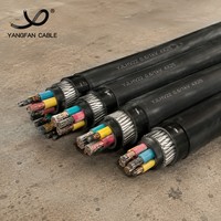 Cable de Alimentación Armado con Cinta de Acero Al/XLPE/PVC/STA, 3C 4C 25-400mm 0.6/1kV, Cable Subterráneo de PVC