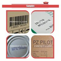 Imprimante à jet d'encre portable pour textiles, t-shirts et emballages en papier |   Marqueur à jet portable pour logo et code de lot sur matériaux souples