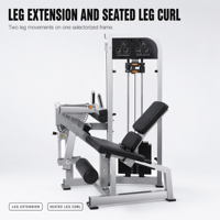 Machine à extensions et flexions assises pour les jambes, équipement d'entraînement musculaire des jambes pour la musculation en salle de sport, club de fitness et à domicile